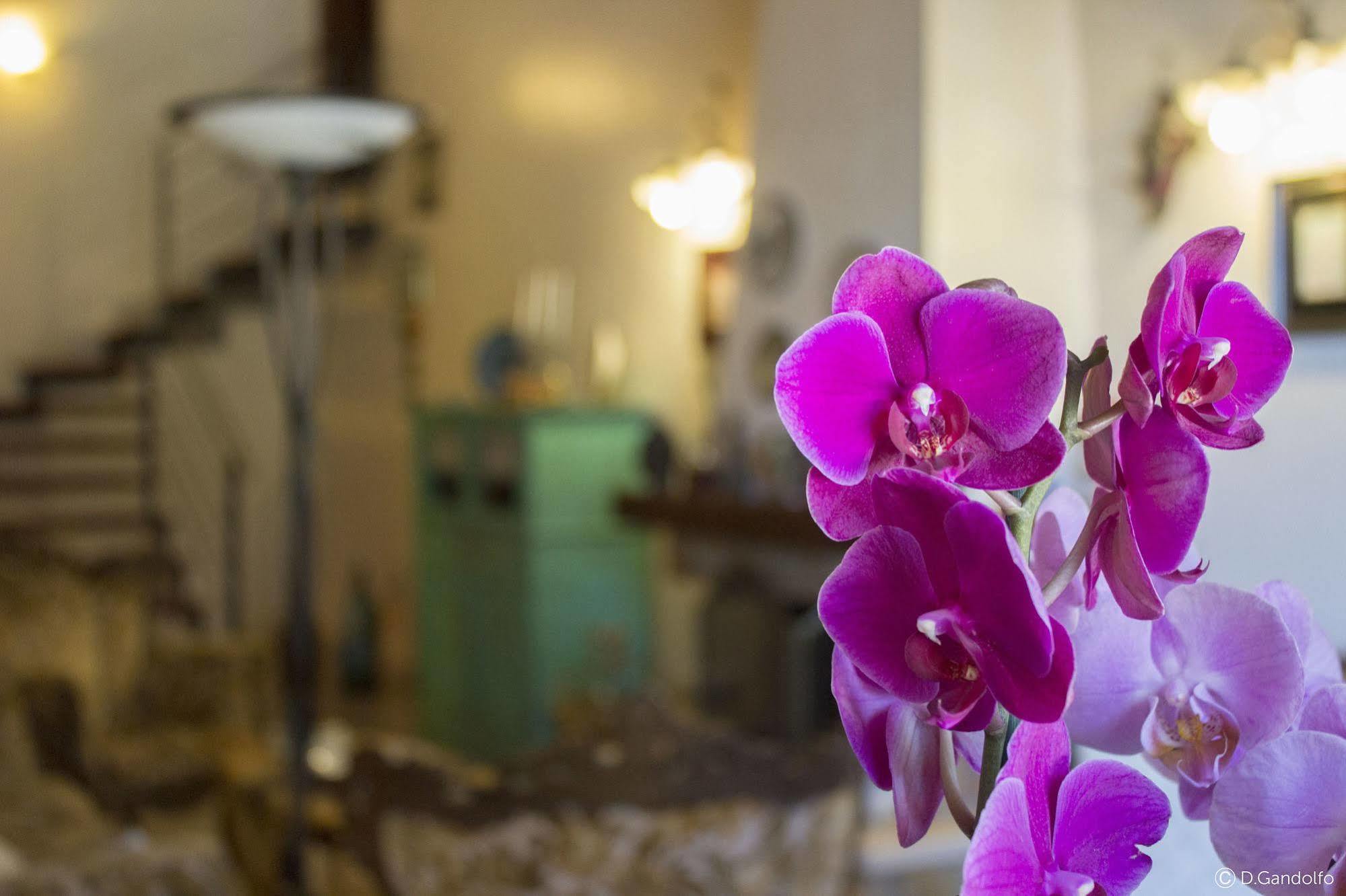 Villa Gagliardetta カステッランマーレ・デル・ゴルフォ エクステリア 写真